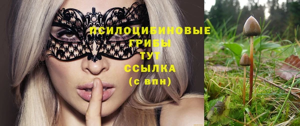 спайс Майский