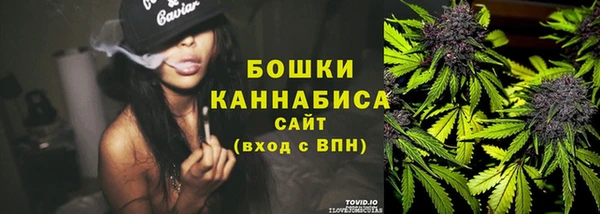 сатива Переславль-Залесский