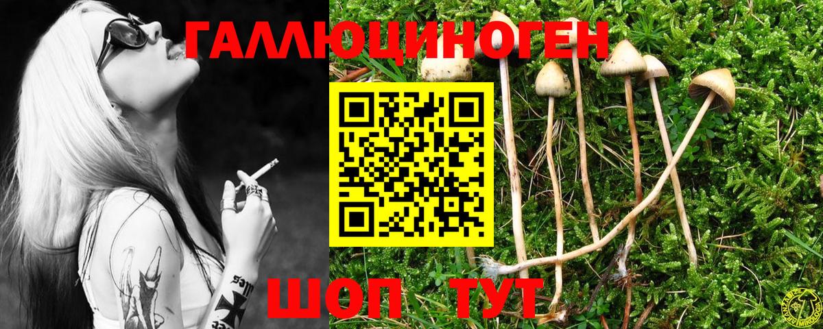 Галлюциногенные грибы Cubensis  Псилоцибиновые грибы MAGIC MUSHROOMS  Усолье-Сибирское 